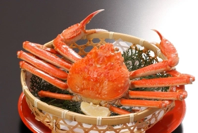 夕食（レストラン）