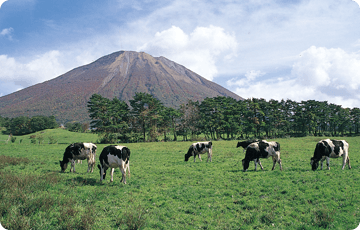 Daisen Makiba Milk no Sato (Home of Milk)