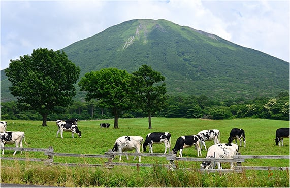 鳥取県観光スポット